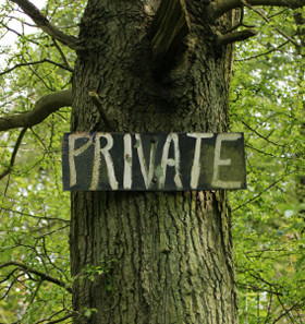 Los dominios son propiedad privada